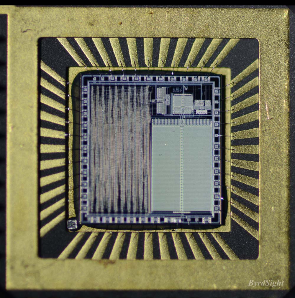 Photograph of chip in package of Apple Sound Chip